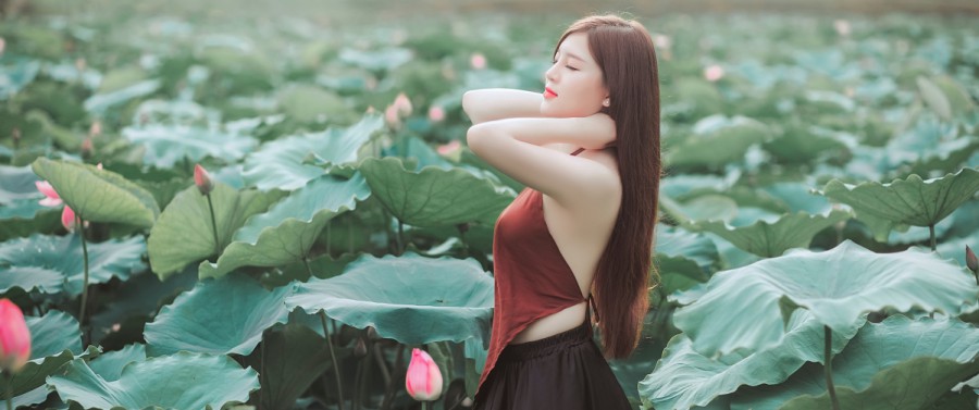 吊兰病虫害防治，对症下药