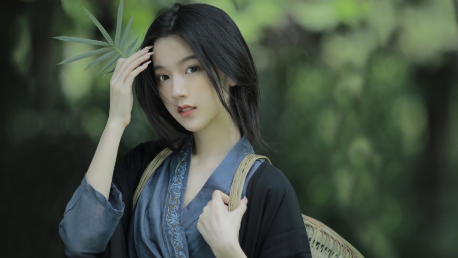 硬盘版最新版